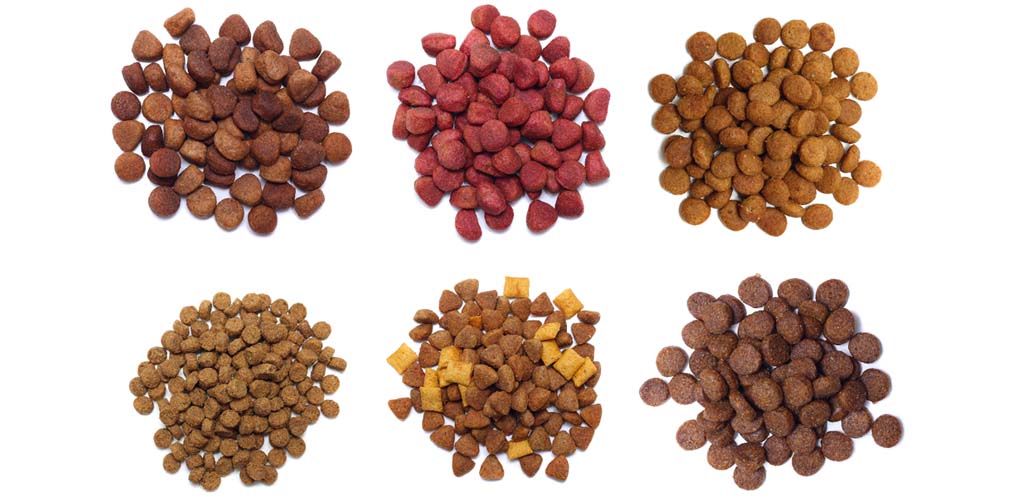 Kibble | Dizzy's Dog Food Deliveries