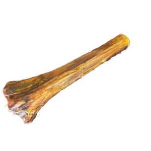Ostrich Metatarsus Bone