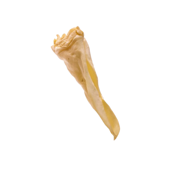 Goat Ear - Individual