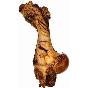 Giant Dried Beef Bone