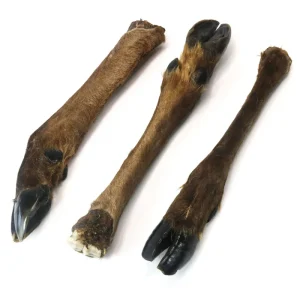 JR Venison leg with hair