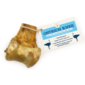 Ostrich Knee Bone - individual